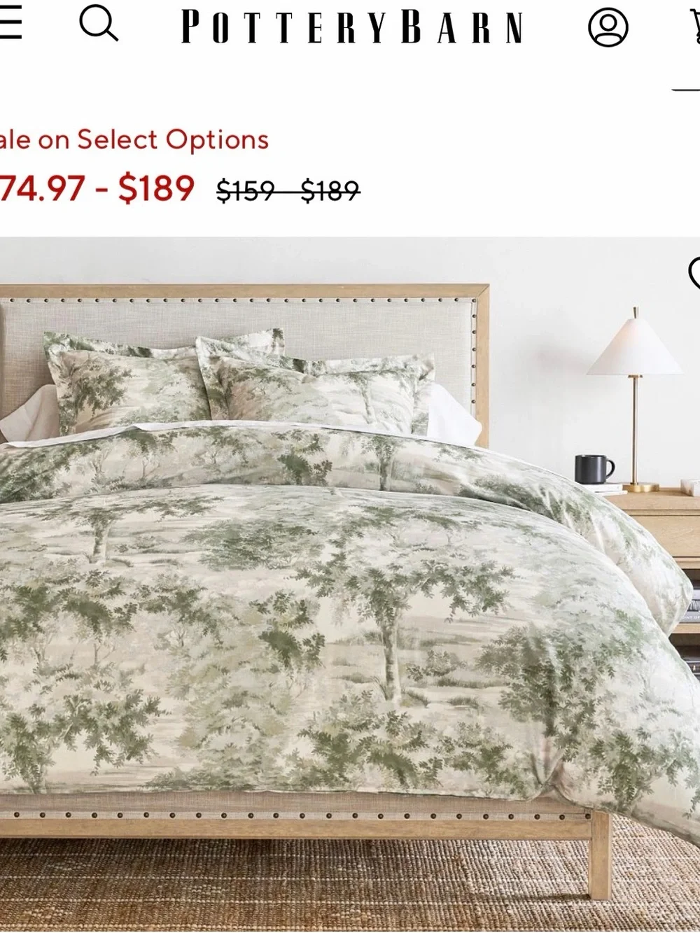 Pottery Barn Green and Beige Toile Duvet Cover